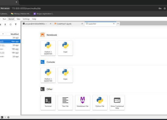 JupyterLab's Jupyter Notebook